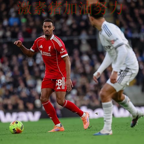 利物浦防线告急外界质疑声迅速升高 利物浦防线告急外界质疑声迅速升高