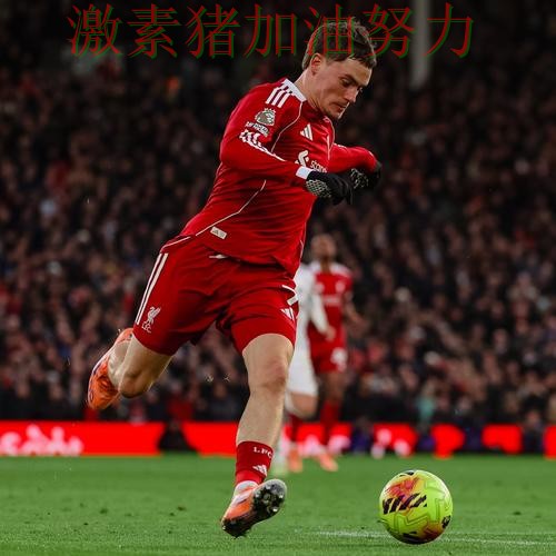 利物浦防线告急外界质疑声迅速升高 利物浦防线告急外界质疑声迅速升高